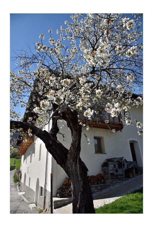 LʼArgentière-la-Bessée La Maison Abeil المظهر الخارجي الصورة